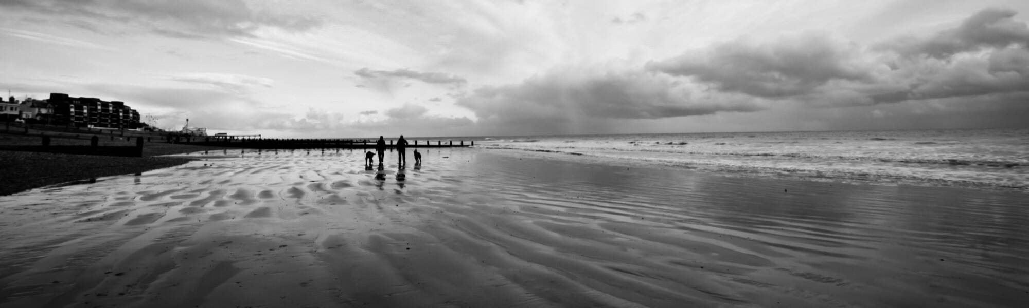 two people and two dogs on a beach with the tide out