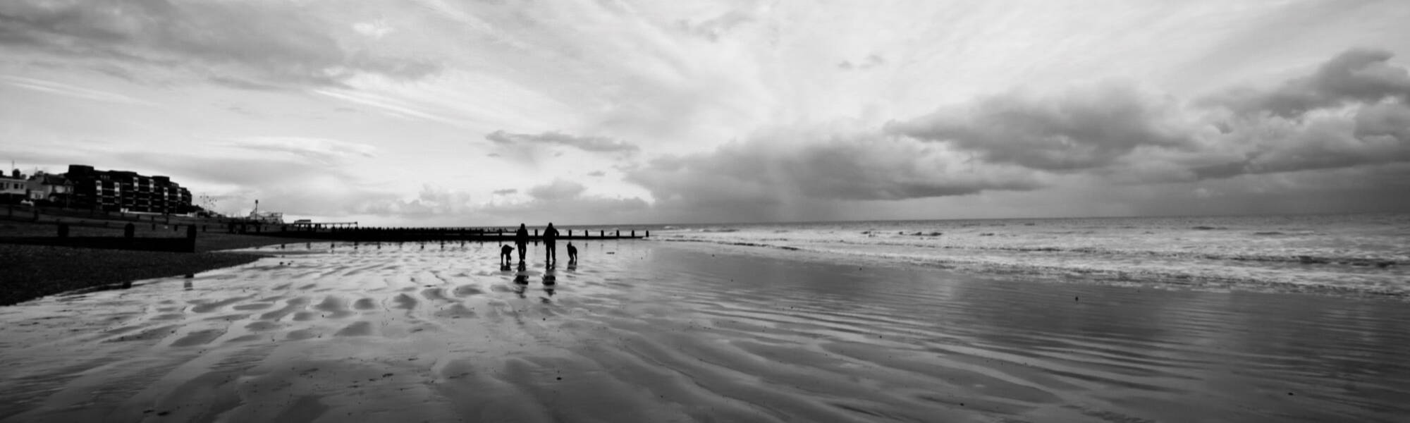 two people standing on a beach with two dogs